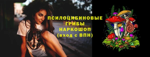 spice Верхний Тагил