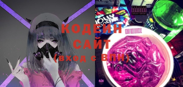 мет Бородино