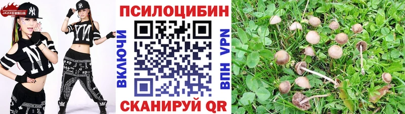 Купить  Дрезна  Галлюциногенные грибы Psilocybine cubensis 